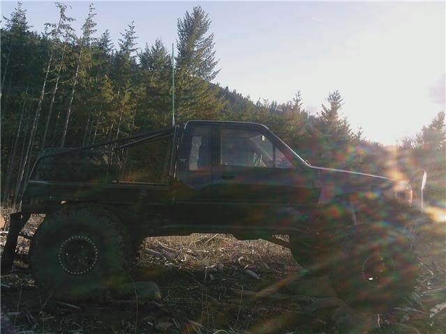 Name: stump10.jpg
Views: 98
Size: 38.7 KB