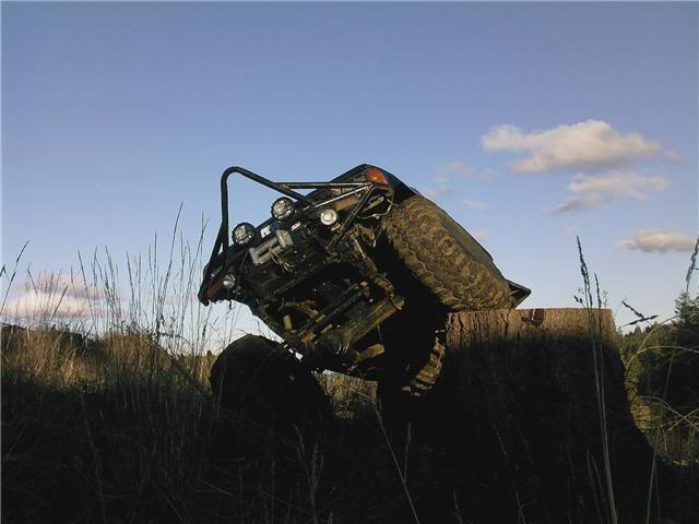 Name:  stump2.jpg
Views: 116
Size:  32.5 KB