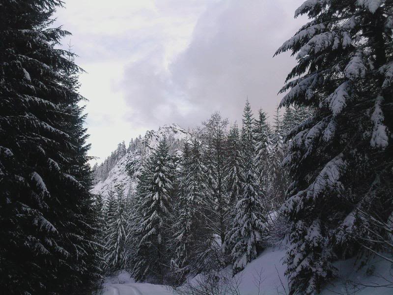 Name:  0211091602_01.jpg
Views: 87
Size:  98.7 KB