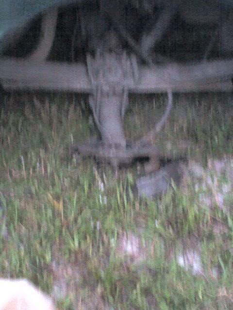 Name:  mytruckwrecked2.jpg
Views: 114
Size:  39.1 KB