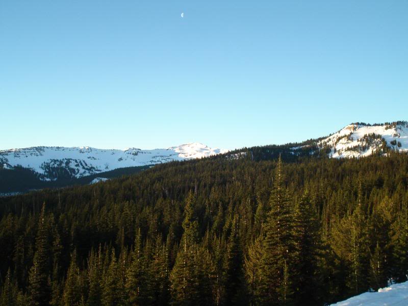 Name:  DSC01351.jpg
Views: 124
Size:  58.8 KB