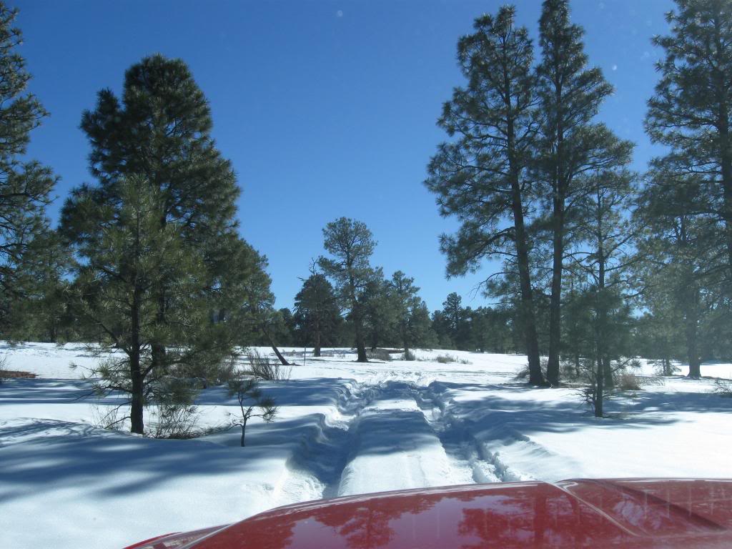 Name:  SnowWheelin041.jpg
Views: 106
Size:  123.6 KB