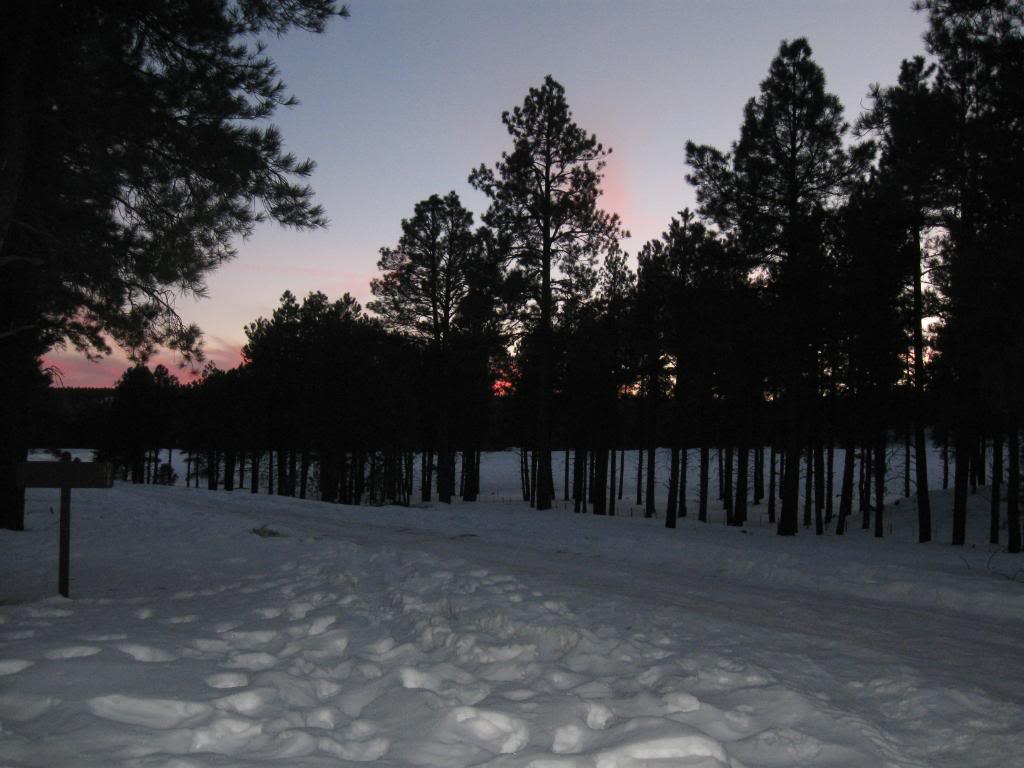 Name:  SnowWheelin097.jpg
Views: 122
Size:  91.0 KB
