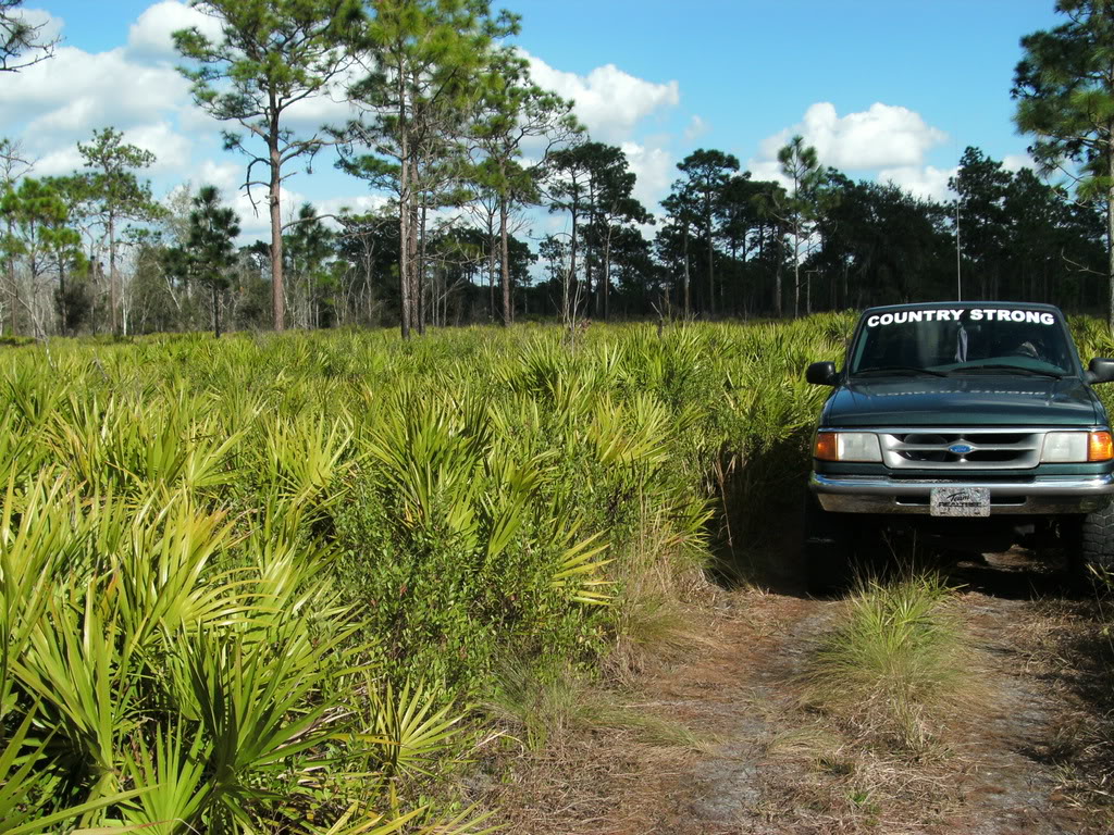 Name: rangerfolder015.jpg
Views: 114
Size: 333.9 KB