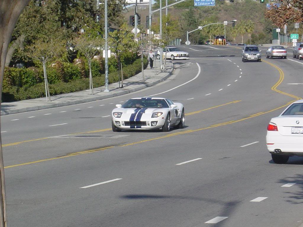 Name:  muddy015.jpg
Views: 132
Size:  106.9 KB