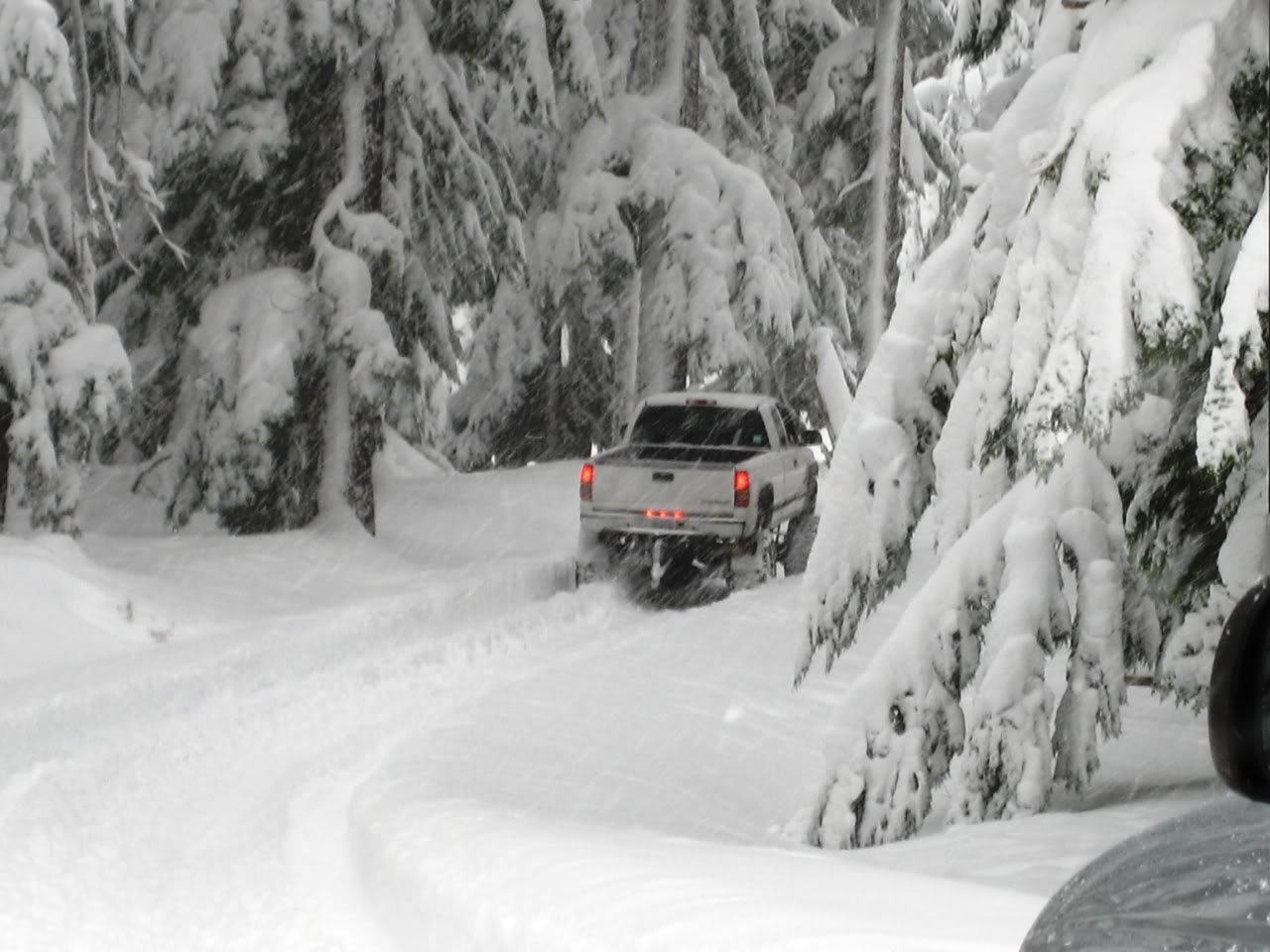 Name:  IMG_3120.jpg
Views: 181
Size:  132.8 KB
