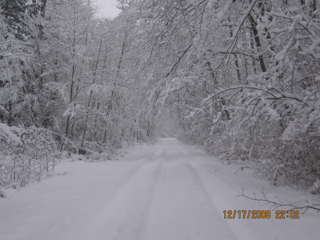 Name:  IMG_0136.jpg
Views: 73
Size:  155.6 KB