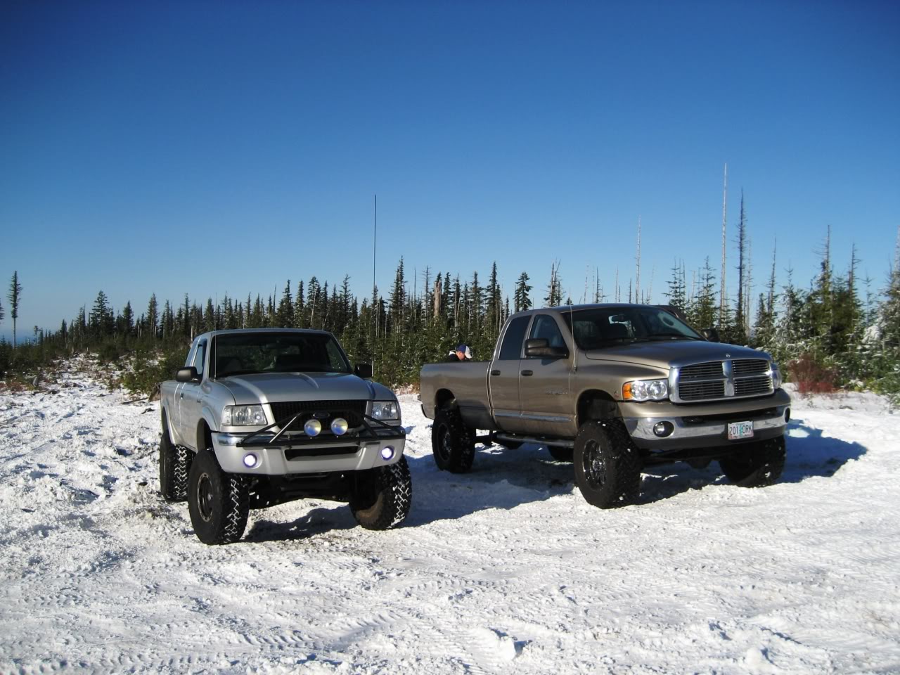 Name:  IMG_3061.jpg
Views: 74
Size:  208.6 KB