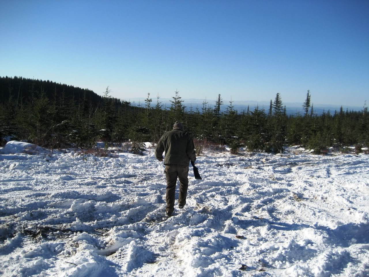Name:  IMG_3071.jpg
Views: 52
Size:  268.9 KB