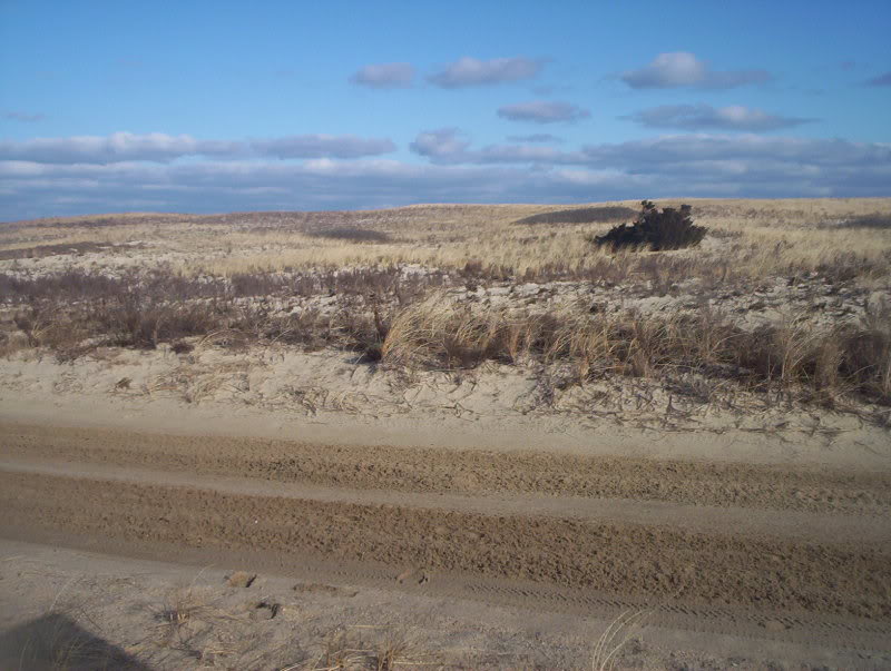 Name:  000_0333.jpg
Views: 119
Size:  85.6 KB