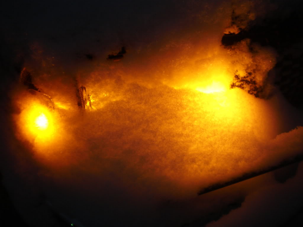 Name:  PC040216.jpg
Views: 105
Size:  54.3 KB