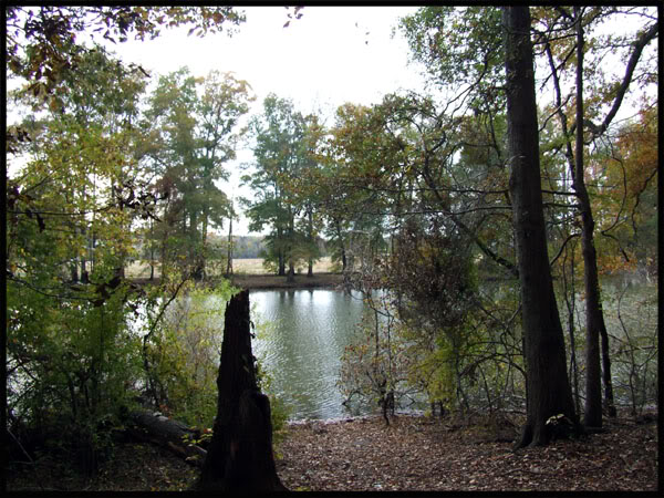 Name:  11.jpg
Views: 72
Size:  101.0 KB