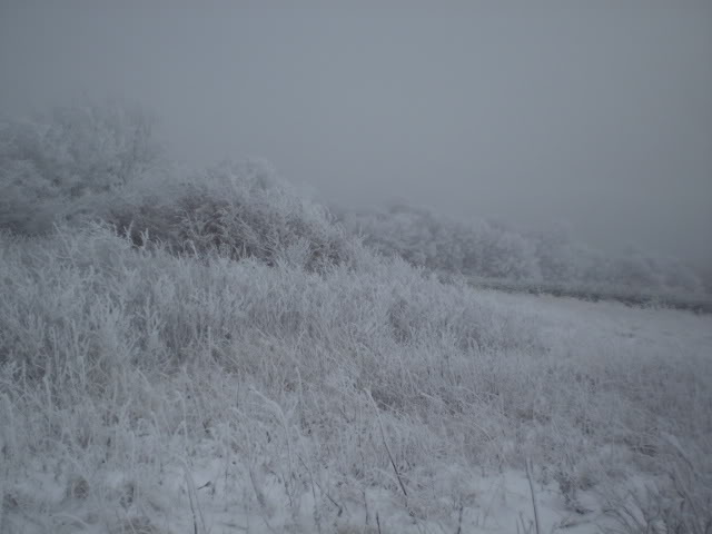 Name: PB150048.jpg
Views: 64
Size: 36.4 KB
