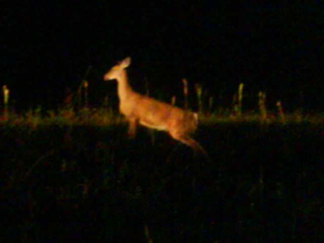 Name:  Picture128.jpg
Views: 132
Size:  19.0 KB