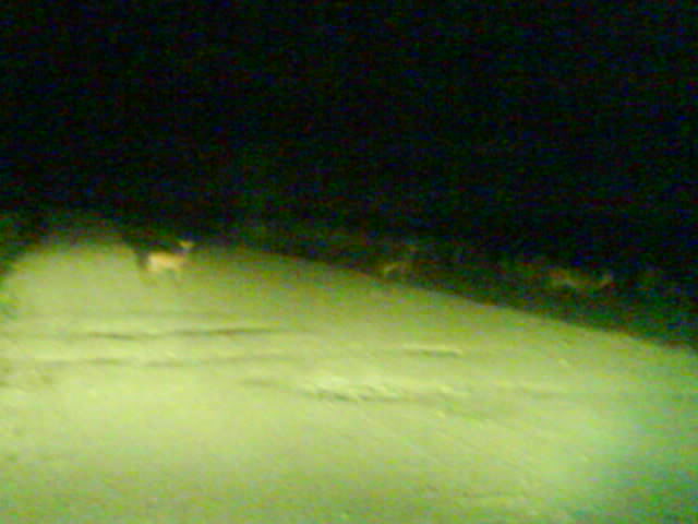 Name:  Picture135.jpg
Views: 86
Size:  30.0 KB