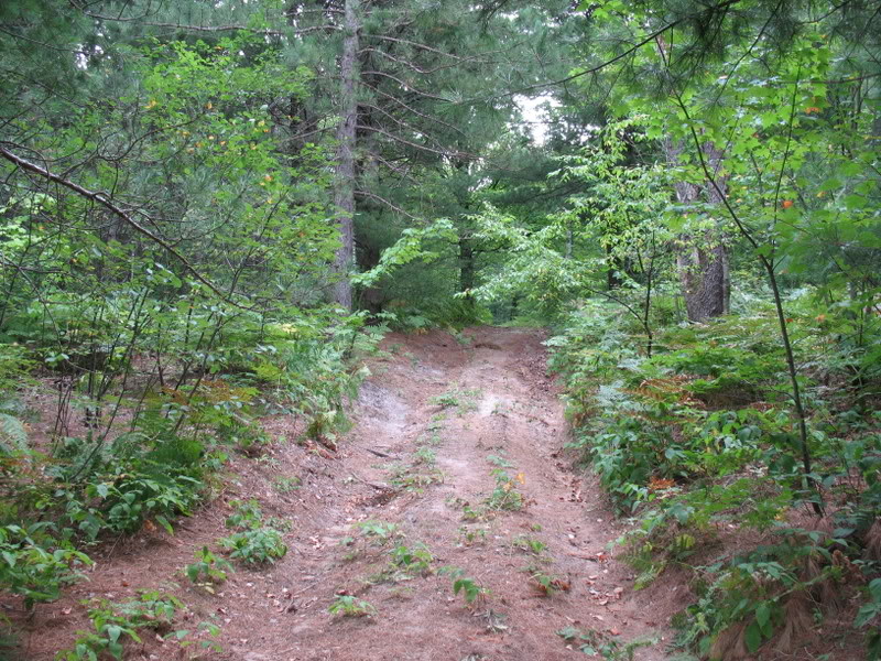 Name: UpNorth082308004.jpg
Views: 460
Size: 192.5 KB