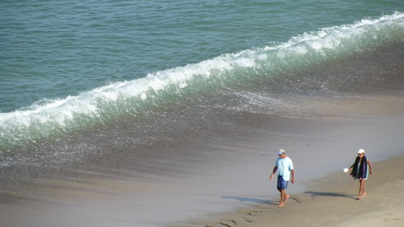 Name: Cape298.jpg
Views: 62
Size: 59.2 KB