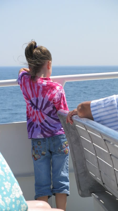 Name:  Cape160.jpg
Views: 54
Size:  47.9 KB
