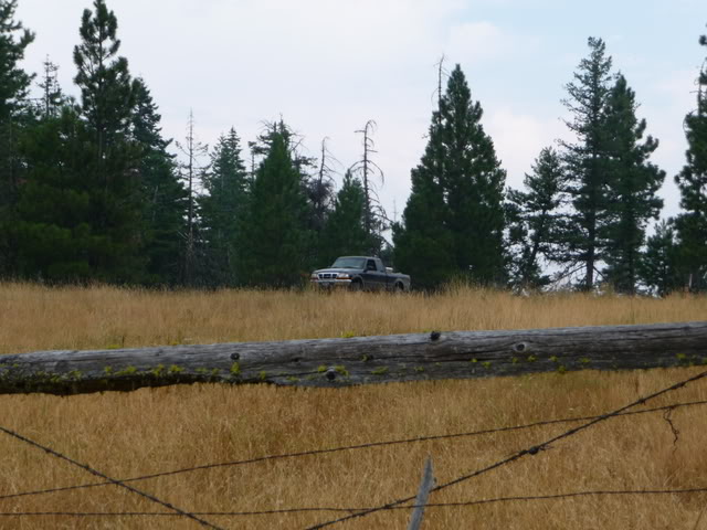 Name: tires012.jpg
Views: 113
Size: 74.0 KB