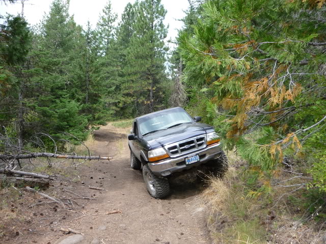 Name: tires027.jpg
Views: 127
Size: 122.7 KB