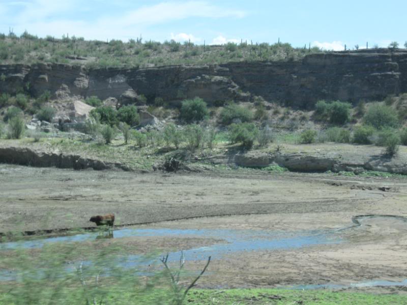 Name:  IMG_1141.jpg
Views: 227
Size:  67.4 KB