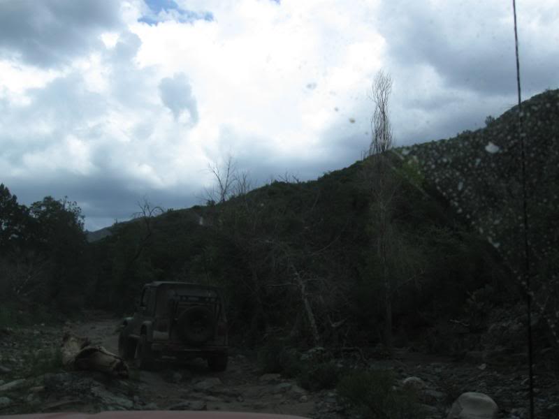 Name:  IMG_1229.jpg
Views: 205
Size:  37.0 KB