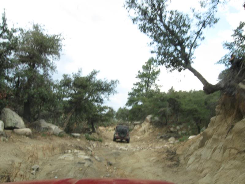 Name:  IMG_1283.jpg
Views: 233
Size:  65.7 KB