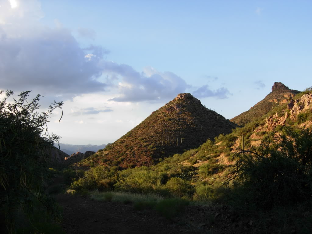 Name:  DSCN0885.jpg
Views: 81
Size:  116.5 KB