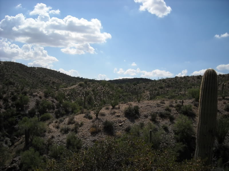 Name: 031.jpg
Views: 77
Size: 118.6 KB