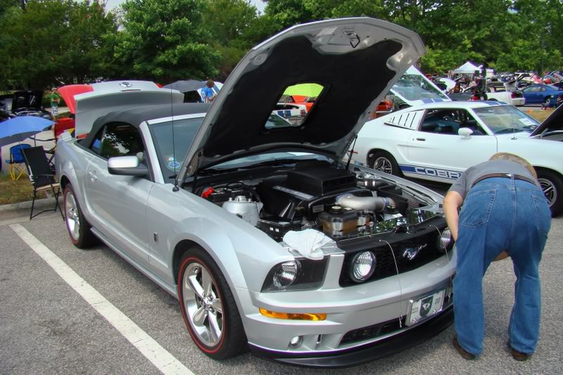 Name:  032_32.jpg
Views: 54
Size:  112.9 KB