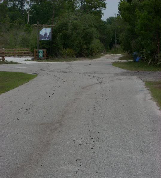 Name:  truck022.jpg
Views: 73
Size:  77.7 KB