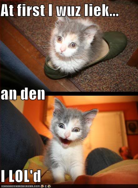 Name:  funny-pictures-kitten-shoe-loled.jpg
Views: 243
Size:  41.1 KB