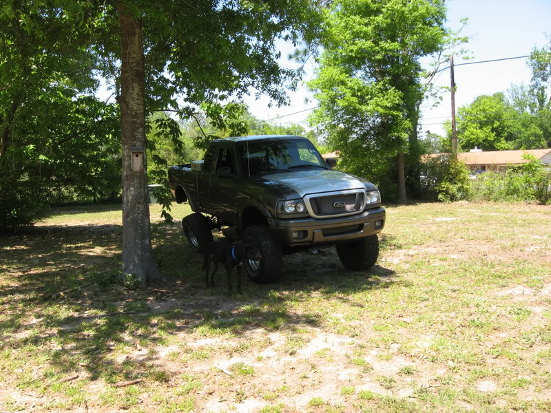 Name:  IMG_1936.jpg
Views: 174
Size:  183.9 KB