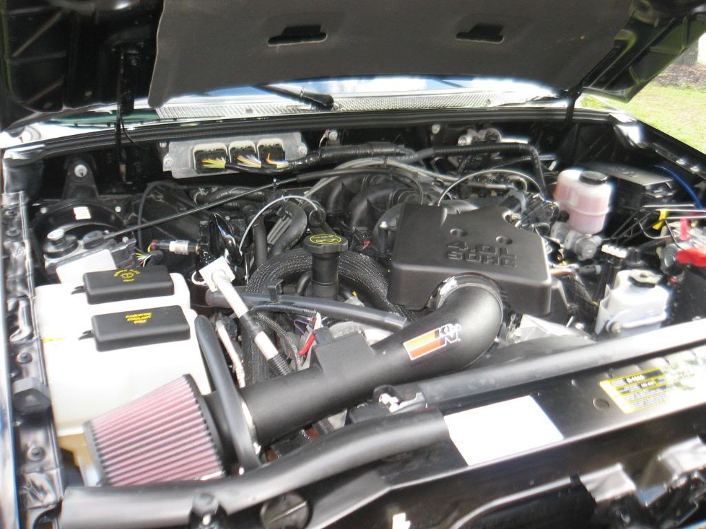 Name:  IMG_0183.jpg
Views: 67
Size:  110.2 KB