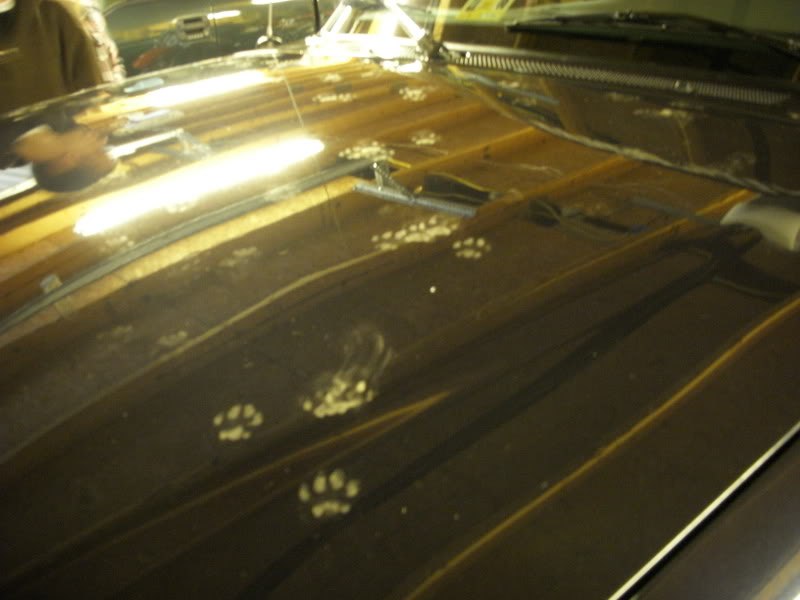 Name: dscn0100.jpg
Views: 105
Size: 48.2 KB