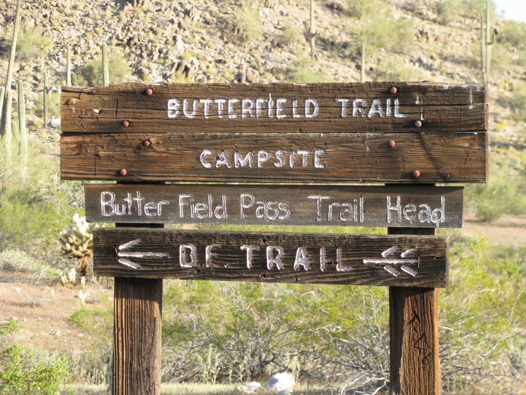 Name: Butterfield038.jpg
Views: 114
Size: 247.1 KB