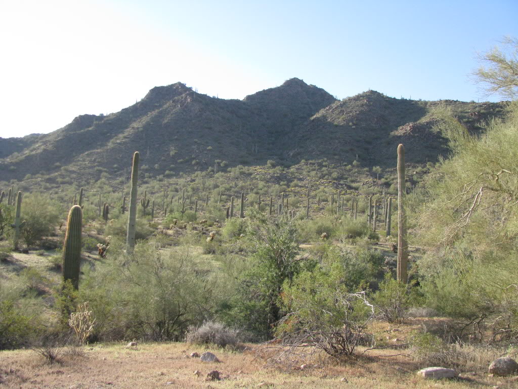 Name: Butterfield040.jpg
Views: 117
Size: 192.7 KB