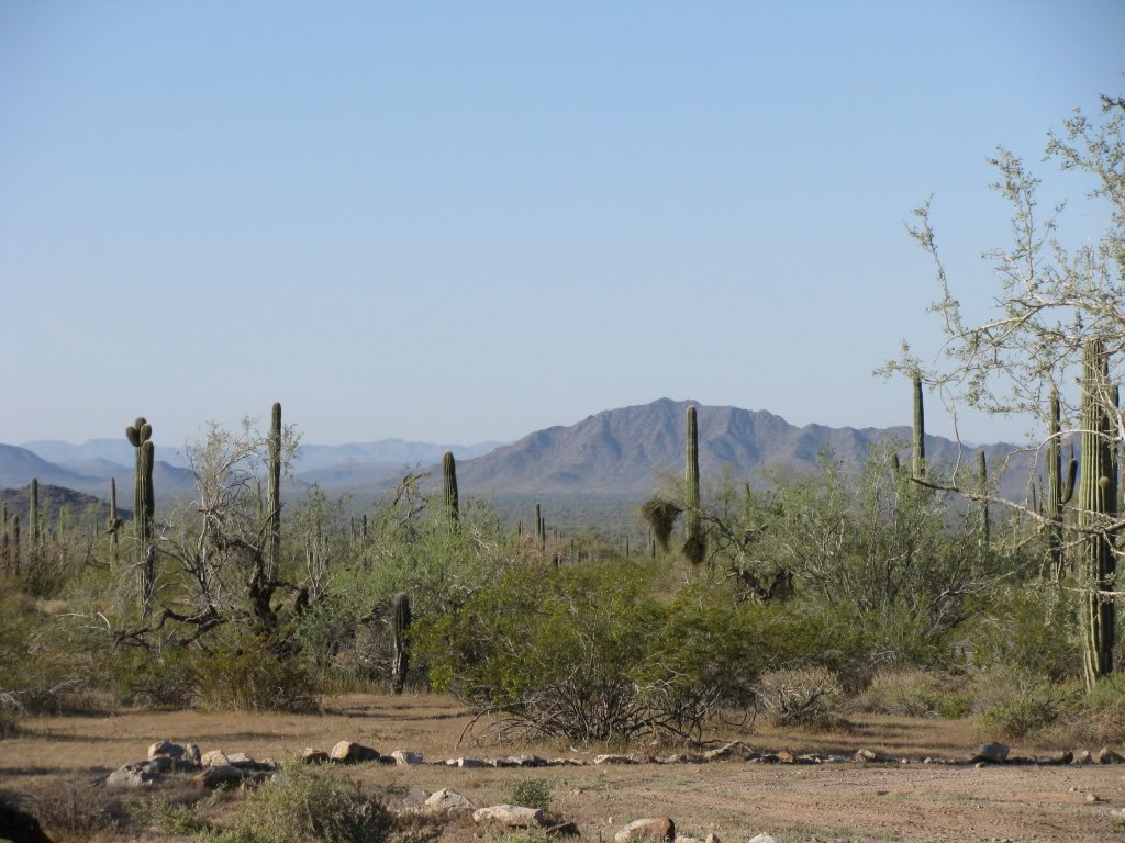 Name: Butterfield066.jpg
Views: 102
Size: 148.9 KB