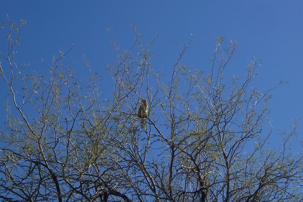 Name: 100_4062.jpg
Views: 82
Size: 175.3 KB