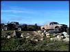 Some Recent Pics- 2 SAS'd rangers-1ba856b5.jpg
