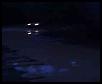 Some Recent Pics- 2 SAS'd rangers-th_386fecd6.jpg