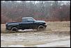 New Pictures (Raided Taco's Again)-dsc_0307.jpg