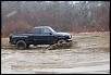 New Pictures (Raided Taco's Again)-dsc_0306.jpg