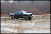 New Pictures (Raided Taco's Again)-dsc_0303.jpg