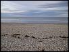went exploring-104_0073.jpg