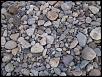 went exploring-104_0074.jpg