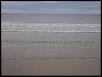 went exploring-104_0077.jpg
