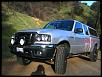 Lets see everyone's latest picture!-374.jpg