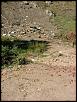 Pics From The Wheeling Trip-shooter_trash_part_1.jpg