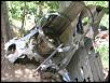 Pics from todays wheeling adventure-dscn0560.jpg